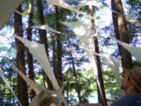 100_1603.jpg